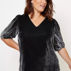 LOFT Velvet Puff Sleeve Top